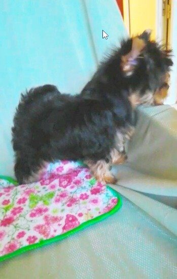 a48136a4-6e59-45a3-8a02-ded09dbd9a5d