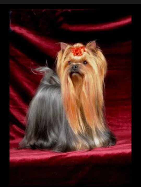 d96d76d8-9023-494d-819f-d89511b7f4a2