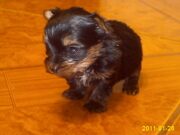 мальчик 1 месяц