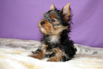 2013-08-12 07-52-20.JPG