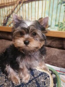 252da2e1-d1b7-4950-a789-dfd731854ddf