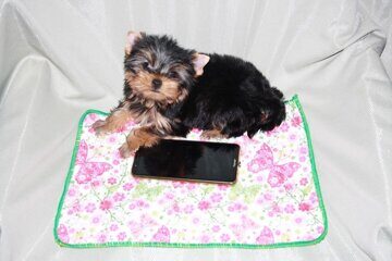 514015f4-e6ae-42a6-ad3e-d2b122dd53aa