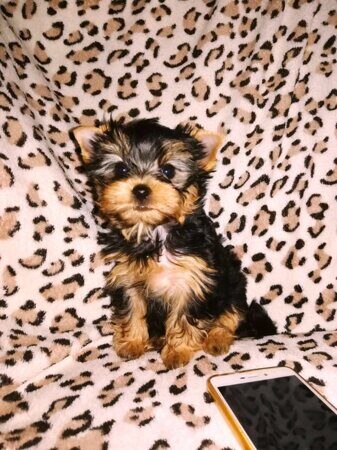 35ecb943-ea53-46e2-9abf-1c00e44b5597