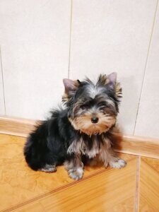 4d89be12-daee-4b0f-a8e2-9519661323e3