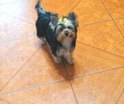 9b63b5d8-2b5e-48b5-856d-e3d5264c2269