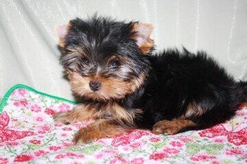 1016cf0f-c0b6-4bd9-8391-04ac0e1e4380