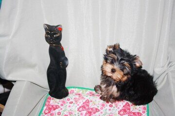 c0553a6e-7263-46ea-81eb-310b20dc369e